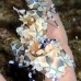 shrimp_harlequin_rr_sur_v_0669_tha2163.jpg